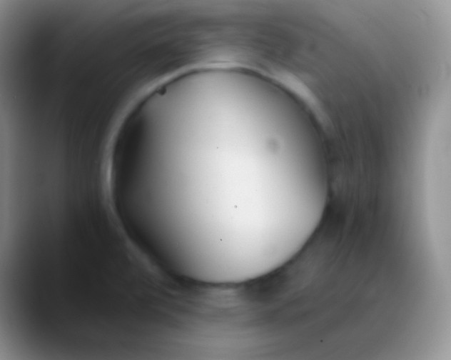 X0000089891472200707192005