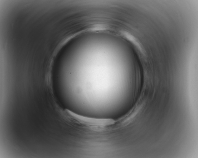 X0000089891473200707192005