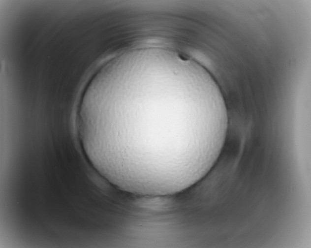 X0000089891474200707192005