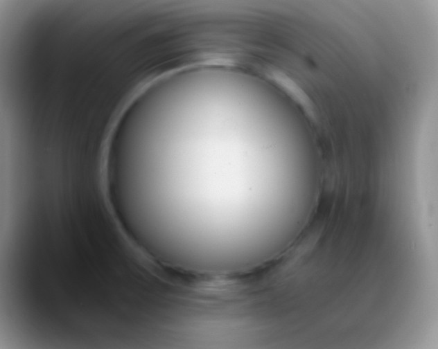 X0000089891475200707192005