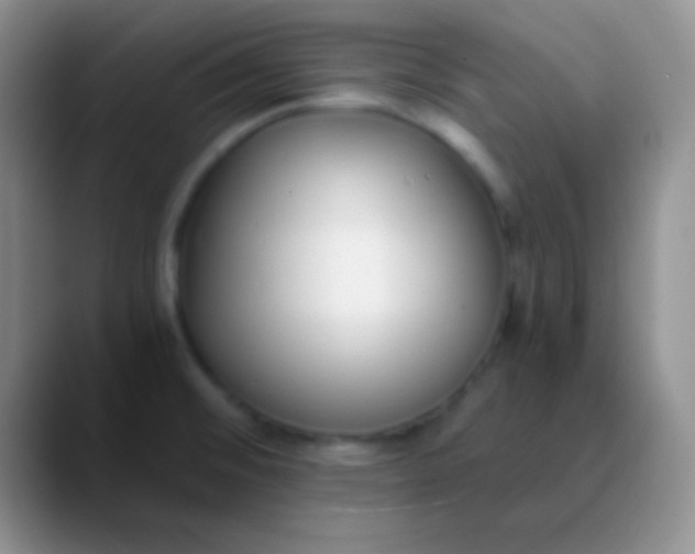 X0000089891476200707192005