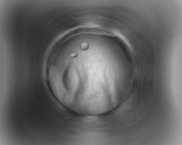 X0000089891477200707192005