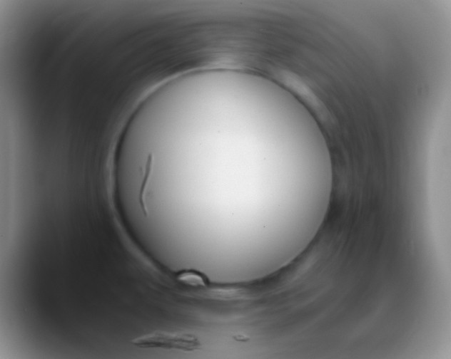 X0000089891479200707192005