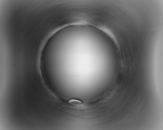 X0000089891480200707192005