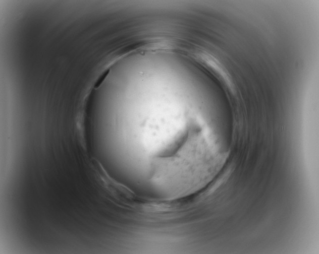 X0000089891481200707192005