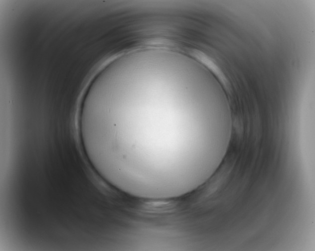 X0000089891482200707192005