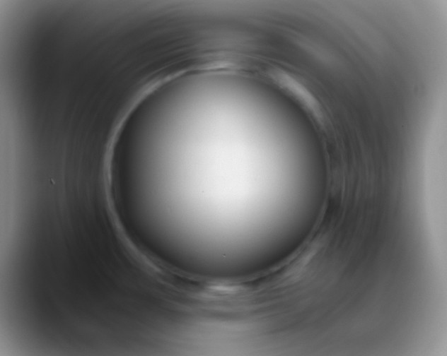 X0000089891483200707192005