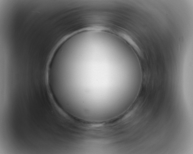 X0000089891484200707192005