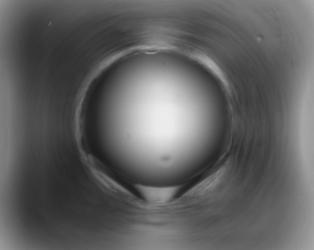 X0000089891485200707192005