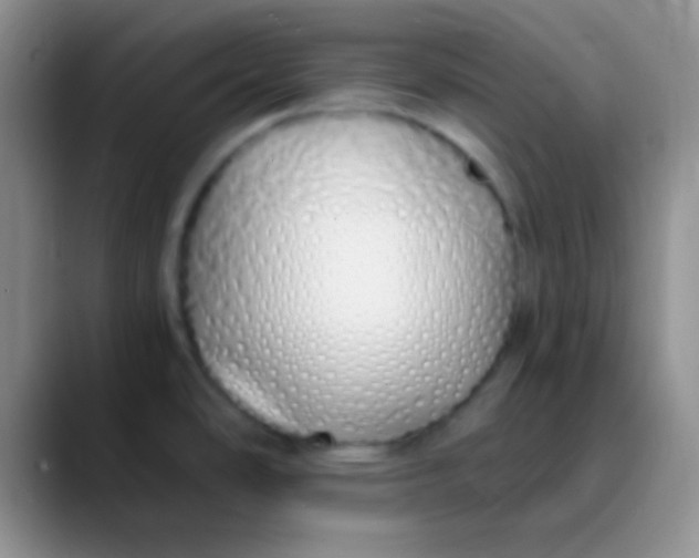 X0000089891486200707192005