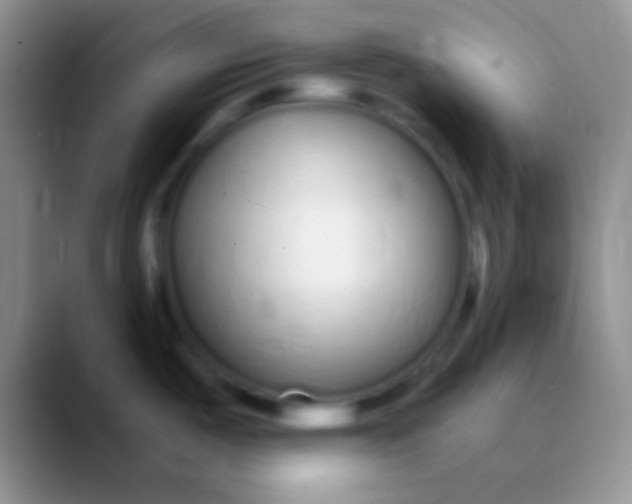 X0000089891487200707192005