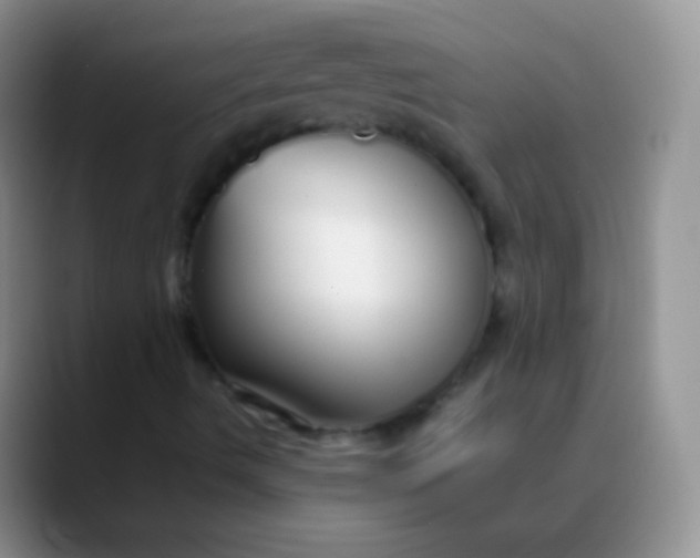 X0000089891490200707192005