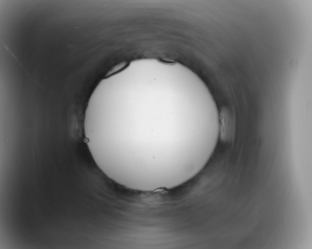 X0000089891491200707192005