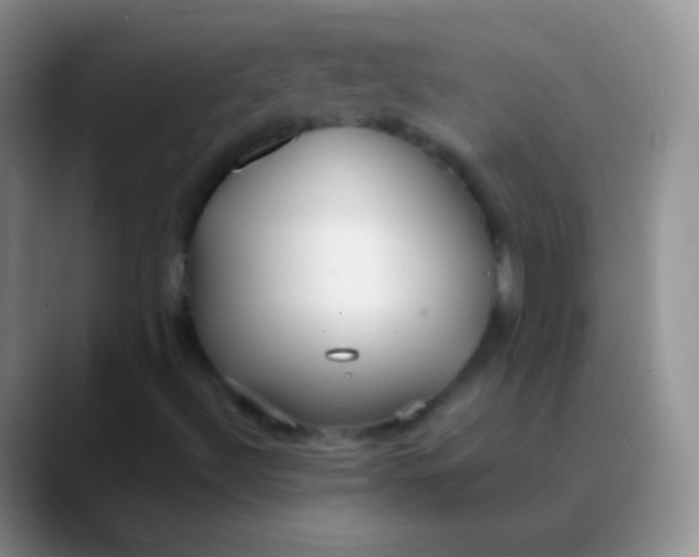 X0000089891492200707192005