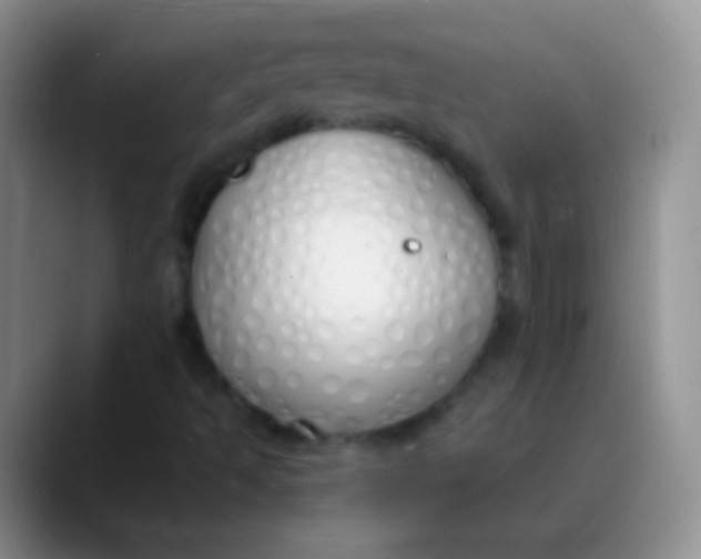 X0000089891493200707192005