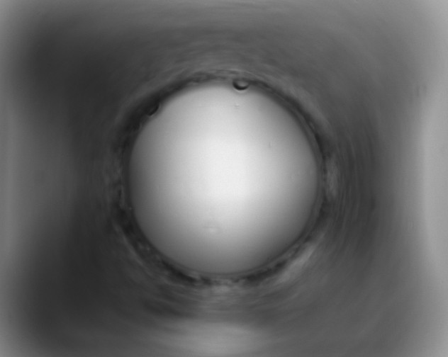 X0000089891494200707192005