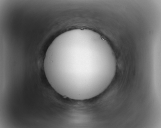 X0000089891495200707192005