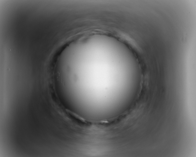 X0000089891496200707192005