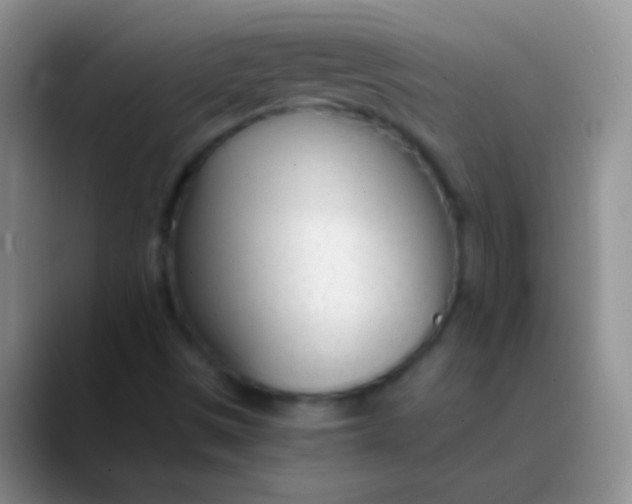 X0000089891497200707192005