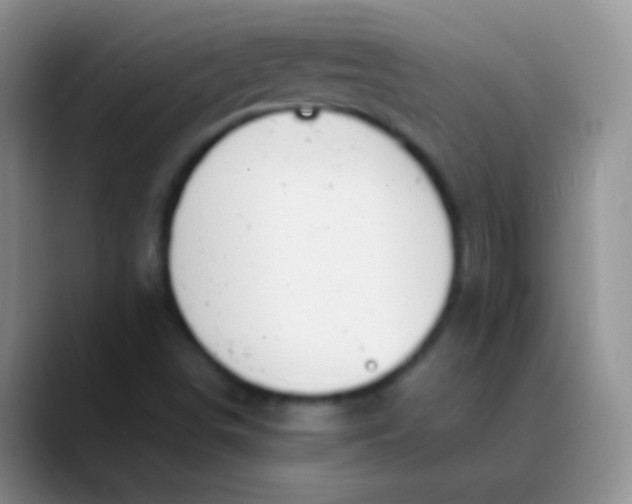 X0000089891498200707192005