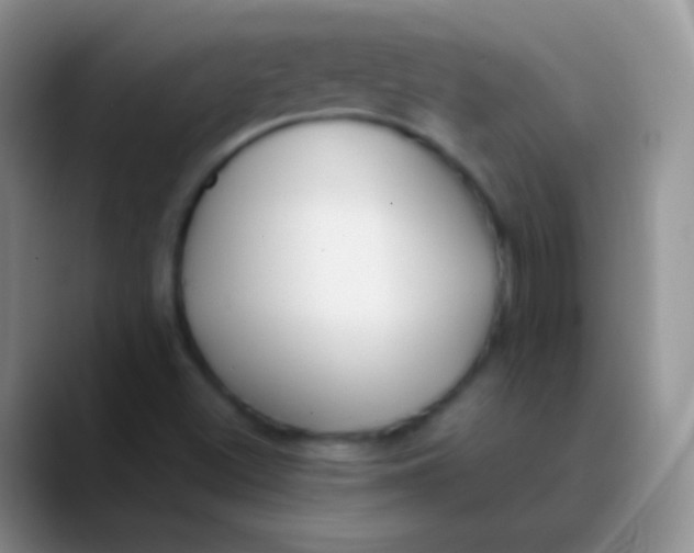 X0000089891500200707192005