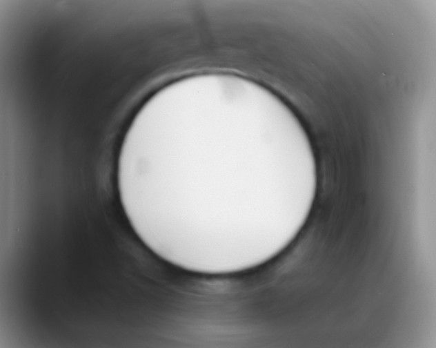 X0000089891502200707192005