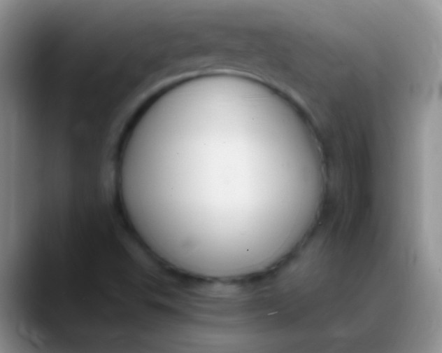 X0000089891503200707192005