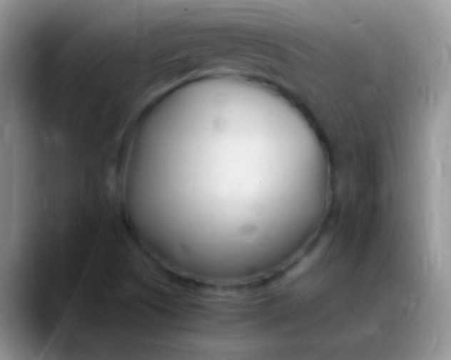 X0000089891505200707192005