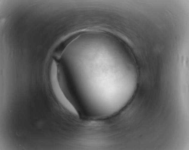 X0000089891506200707192005