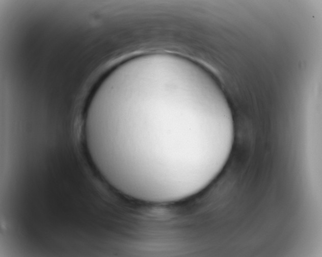 X0000089891507200707192005