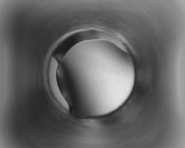 X0000089891508200707192005