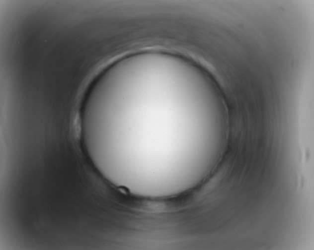 X0000089891509200707192005