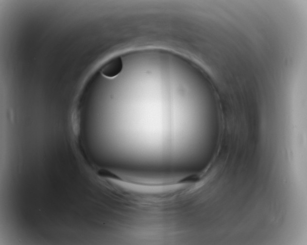 X0000089891510200707192005