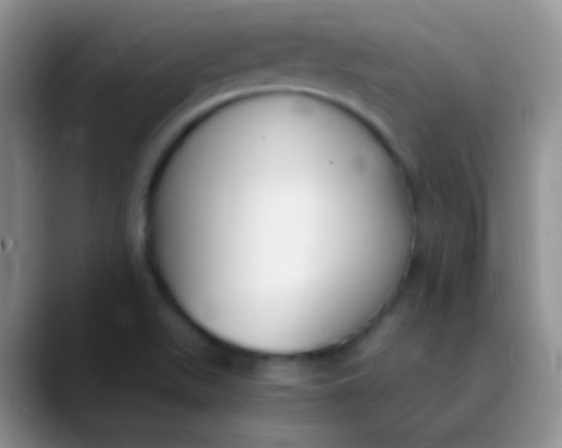 X0000089891511200707192005