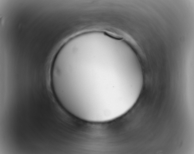 X0000089891512200707192005