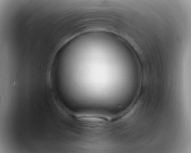 X0000089891513200707192005