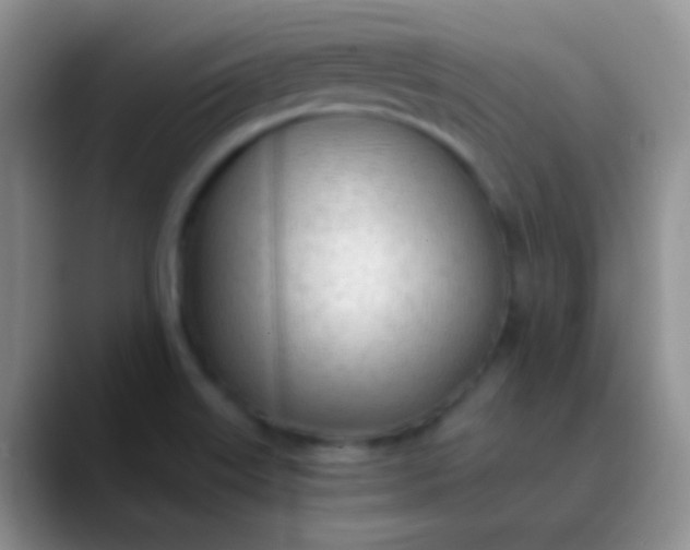 X0000089891515200707192005