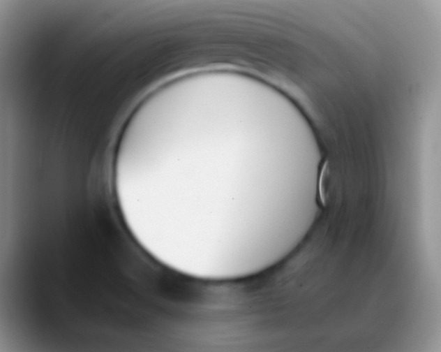 X0000089891516200707192005