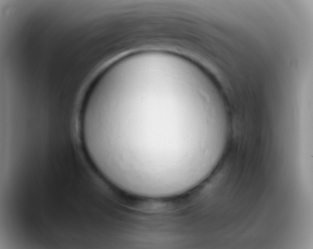 X0000089891517200707192005