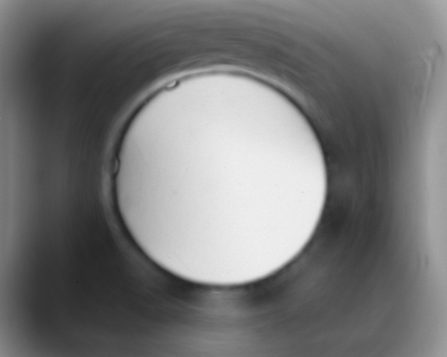 X0000089891518200707192005