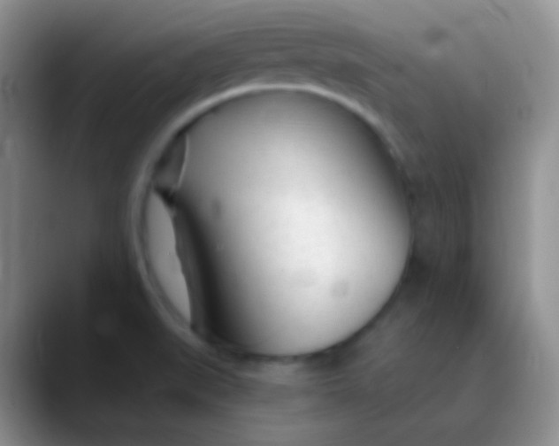 X0000089891519200707192005