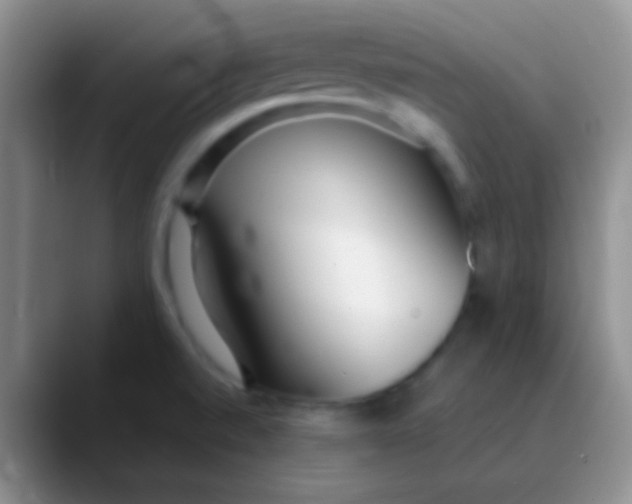 X0000089891520200707192005