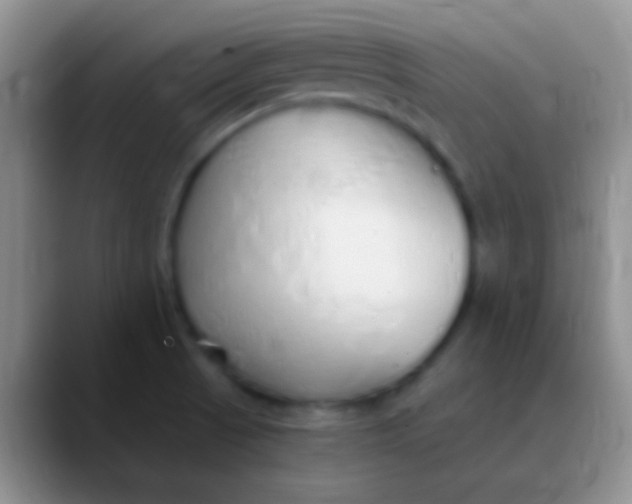 X0000089891521200707192005