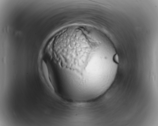 X0000089891522200707192005