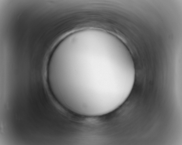 X0000089891523200707192005