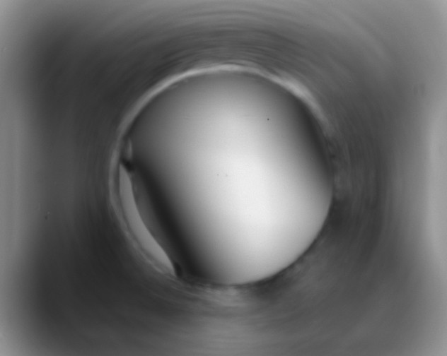 X0000089891524200707192005