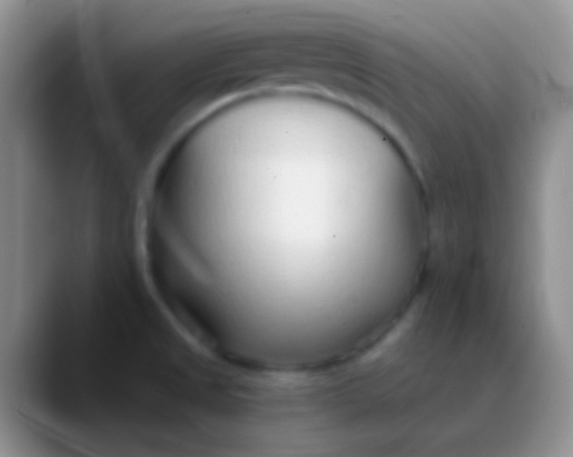 X0000089891525200707192005