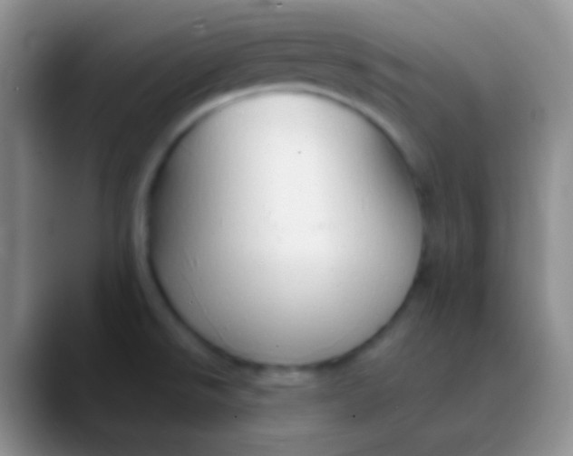 X0000089891526200707192005