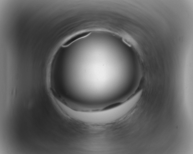 X0000089891528200707192005