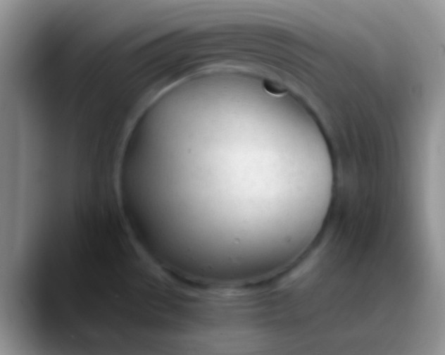 X0000089891529200707192005